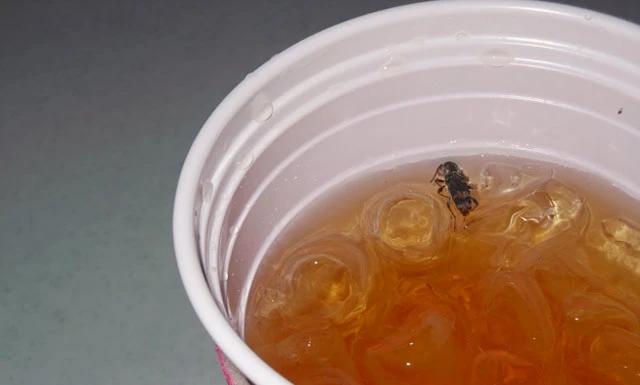 Help! There Is a Fly in My Cup