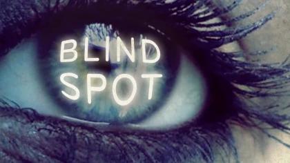 Blindspot