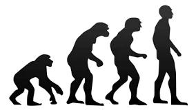 The Kabbalistic Process of Evolution