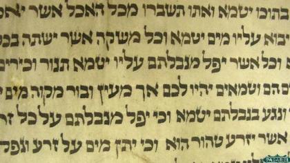 Pesachim 3a-b: Why Does the Torah Use the Term "Tame"--Impure--So Often?