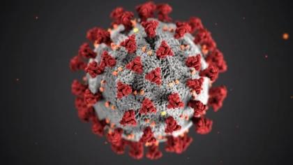 The Coronavirus: We Don't Want Blood On Our Hands!