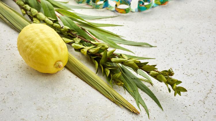 Monday Class: Can You Sit in the Sukkah, Fully Present, and Feel the Love?